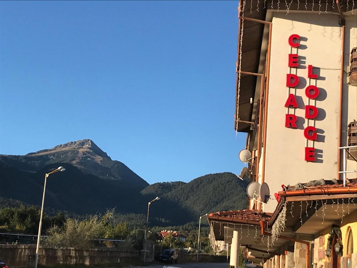 Ski Zone At Gondola, Perfect One Bdrm, Fast Wifi, Netflix, Quiet, Warm Банско Экстерьер фото