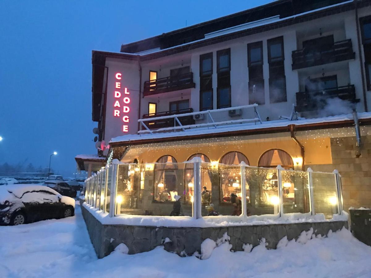 Ski Zone At Gondola, Perfect One Bdrm, Fast Wifi, Netflix, Quiet, Warm Банско Экстерьер фото